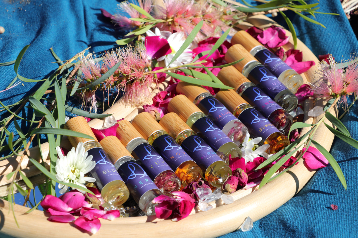 Complete 10ml Oil Collection - Eternal & Ritual Ranges